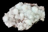 Lustrous Hemimorphite Crystal Cluster - Congo #148483-2